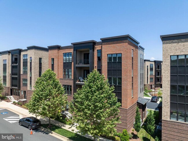 Building Photo - 43442 Croson Ln