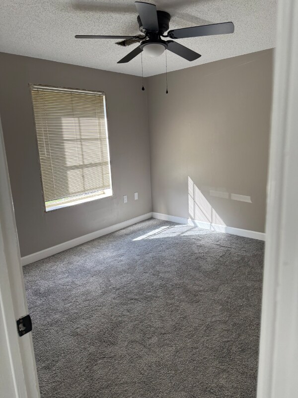 Building Photo - 3801 Swann Rd