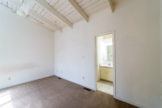 Building Photo - 1349 Rumba Ln