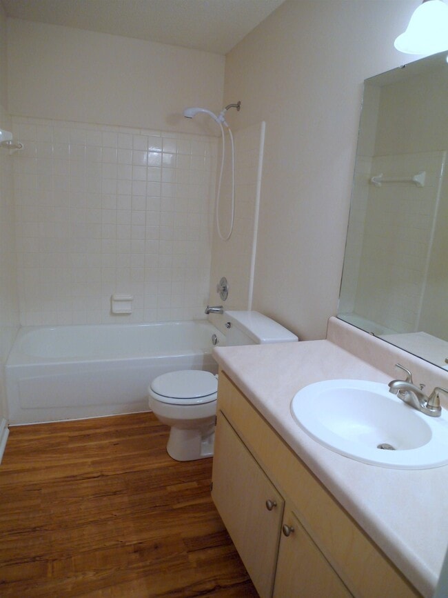 Building Photo - 815 Ashlyn Forest Dr