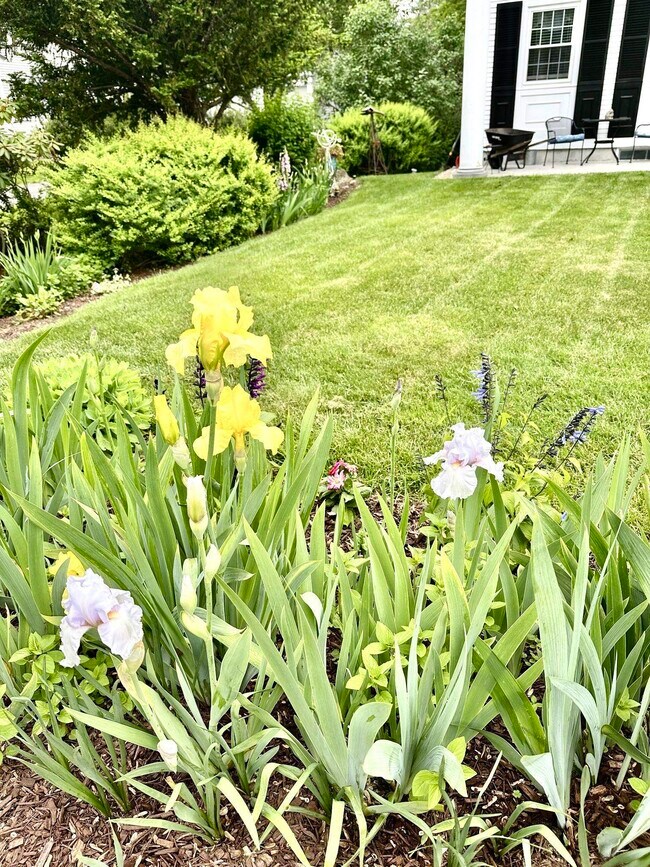 Building Photo - 278 Main St