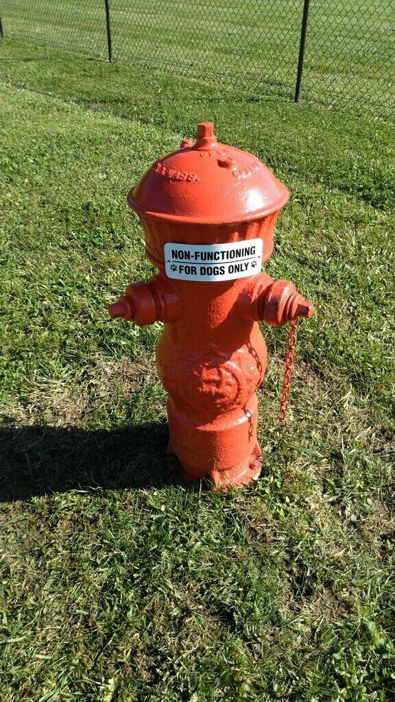 Building Photo - 32 Bramblewood Rd