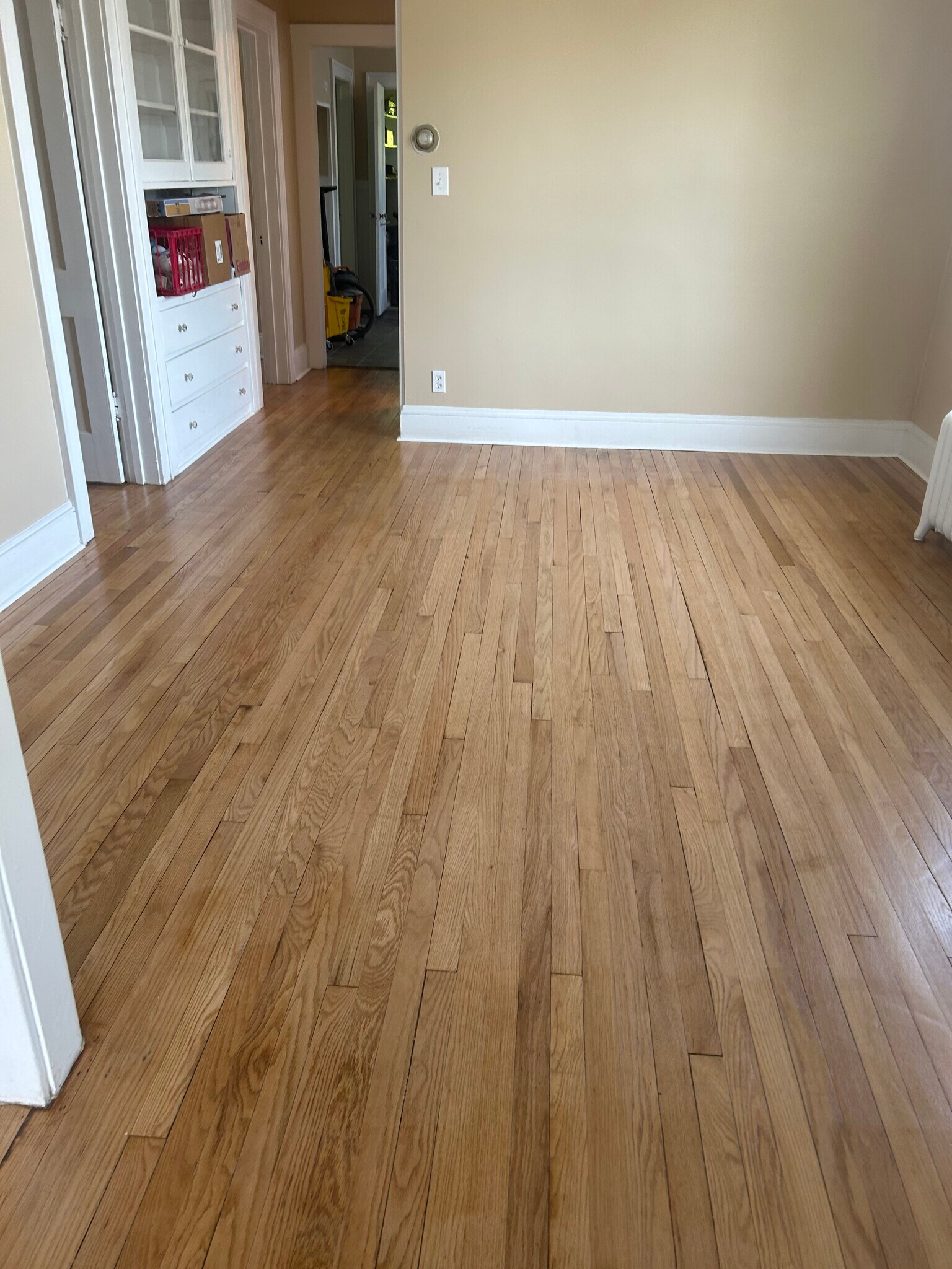 Building Photo - 509 New Scotland Ave