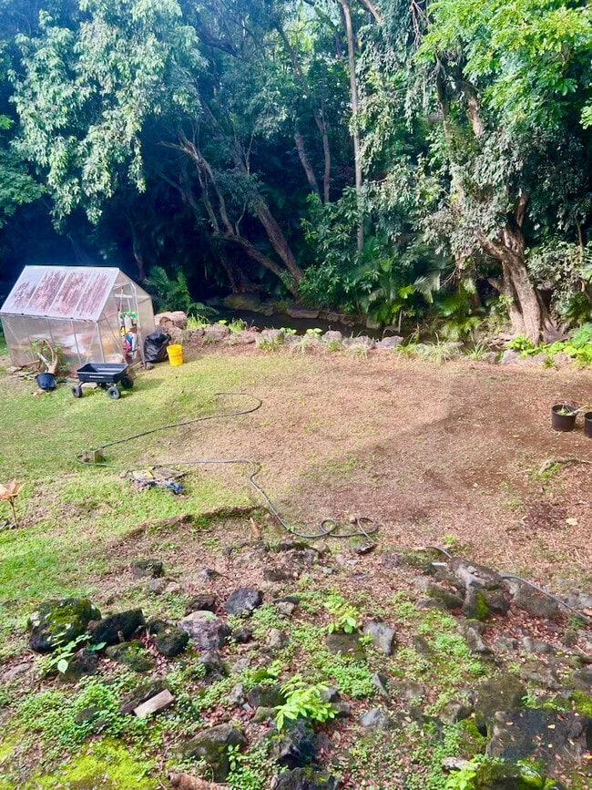 Building Photo - 116 Hanupaoa Pl