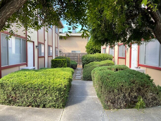 Building Photo - 2149 Mount Diablo St