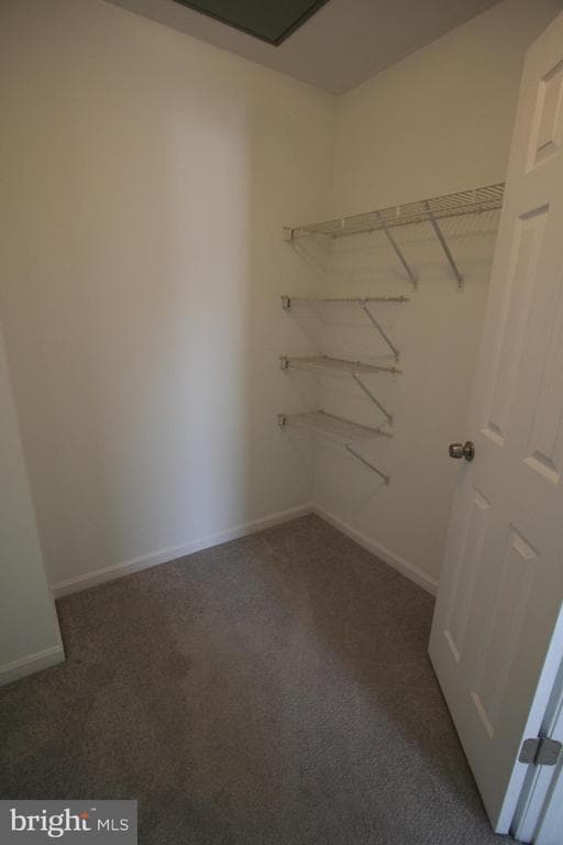 Building Photo - 6233 Sandpiper Ct