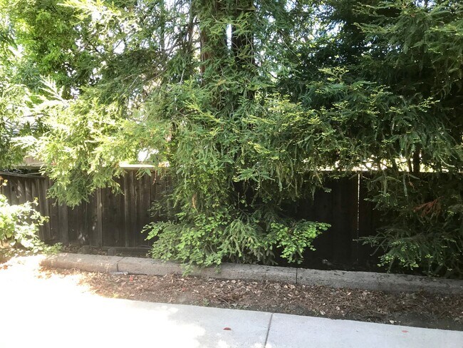 Building Photo - Single Level 2 Bedroom 2 Bath Danville Townhouse/Condo