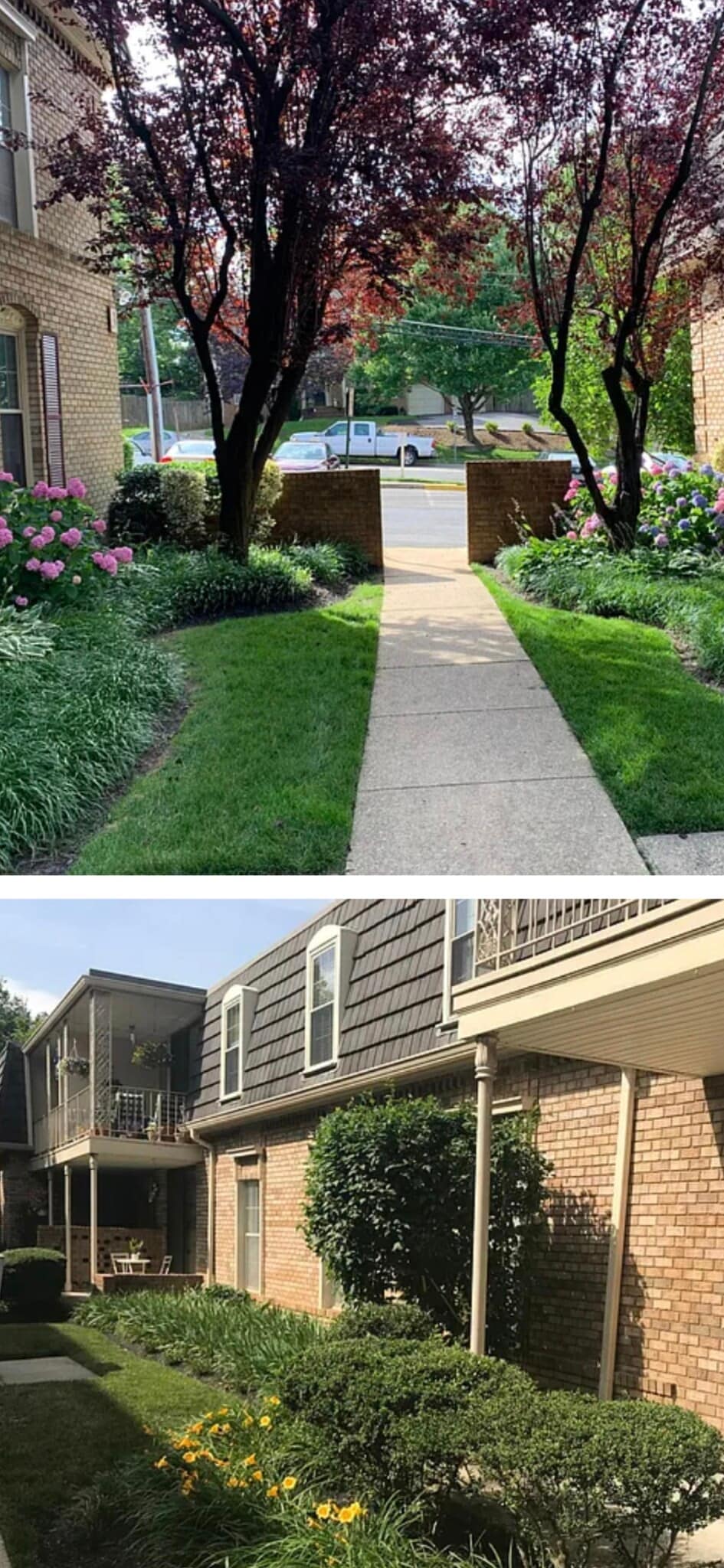 Outside the grounds - 3115 Patrick Henry Dr