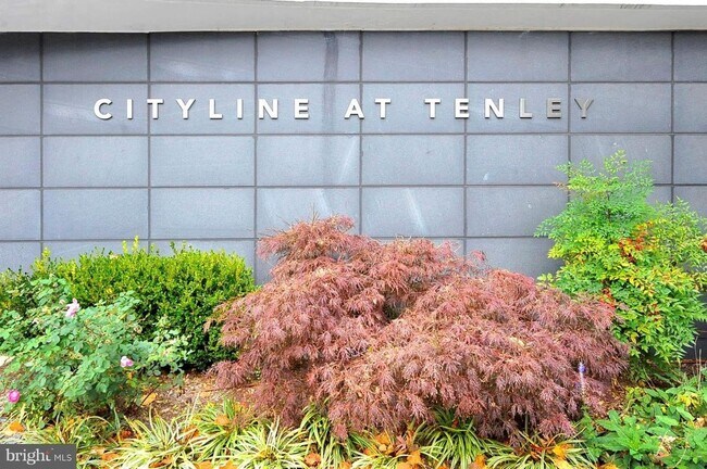 Building Photo - 1br 1 ba condo, Cityline at Tenley Condomi...