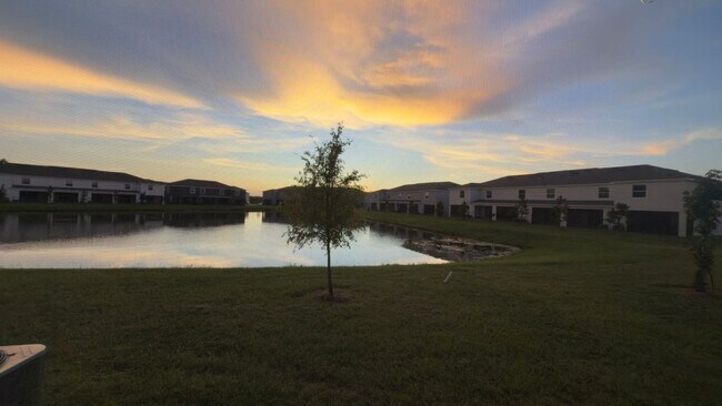 Building Photo - 32474 Turtle Grace Lp