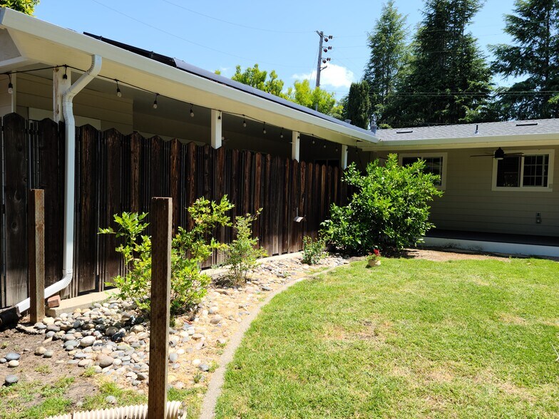 Lemon, Blueberries & other plants - 514 Osborn Ln
