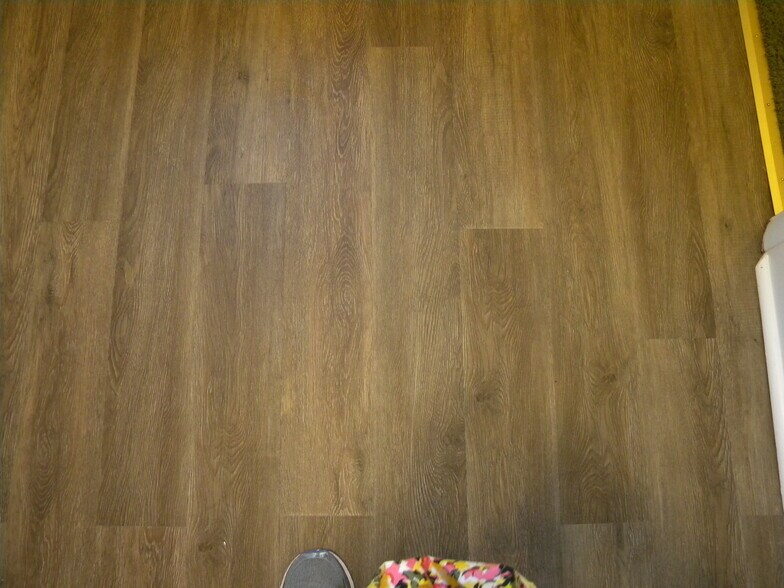 LVP flooring in main areas - 21 W Carpenter St