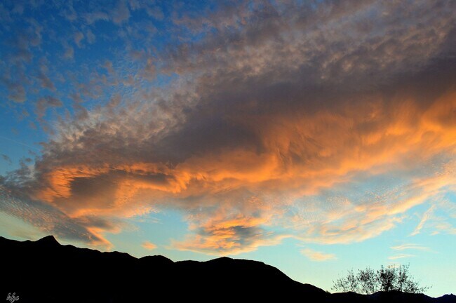 Building Photo - Mesquite Country Club Furnished End Unit. SEASONAL