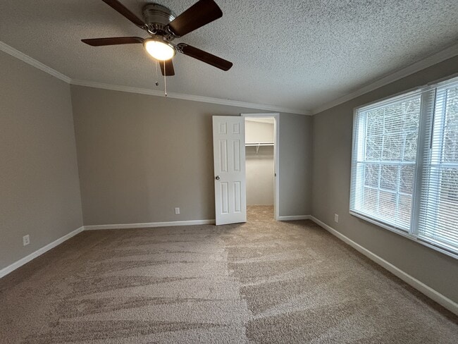 Building Photo - 1100 Big Sandy Creek Ln