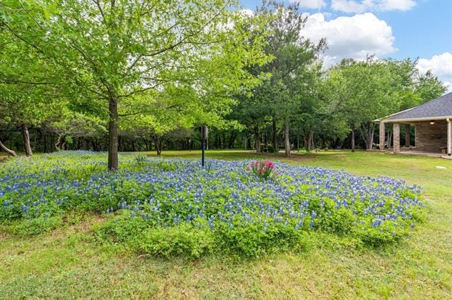 Building Photo - 12041 Shady Creek Dr