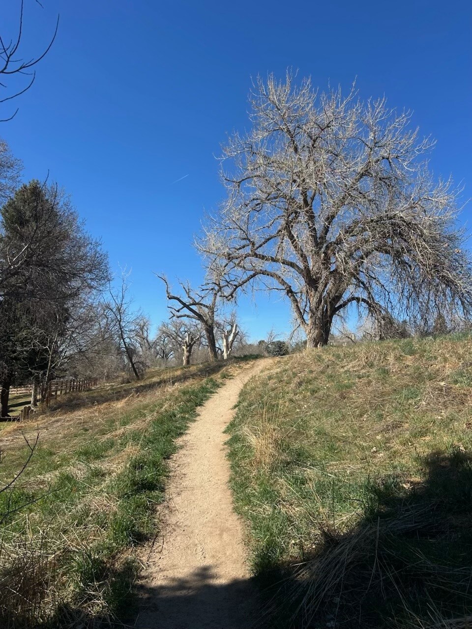 Building Photo - 1818 S Quebec Way