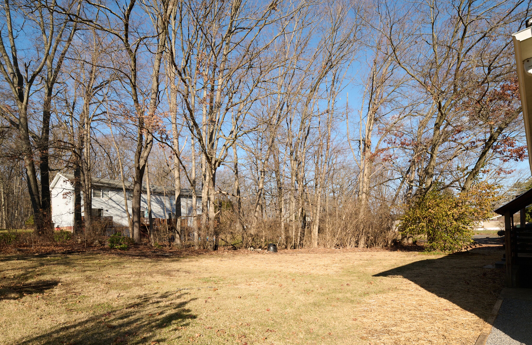 Rear Yard - 327 Strouse Ave