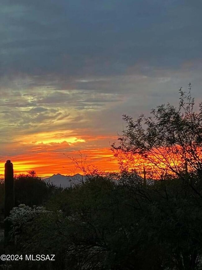 Building Photo - Beautiful home in Gated Dove Mountain Comm...