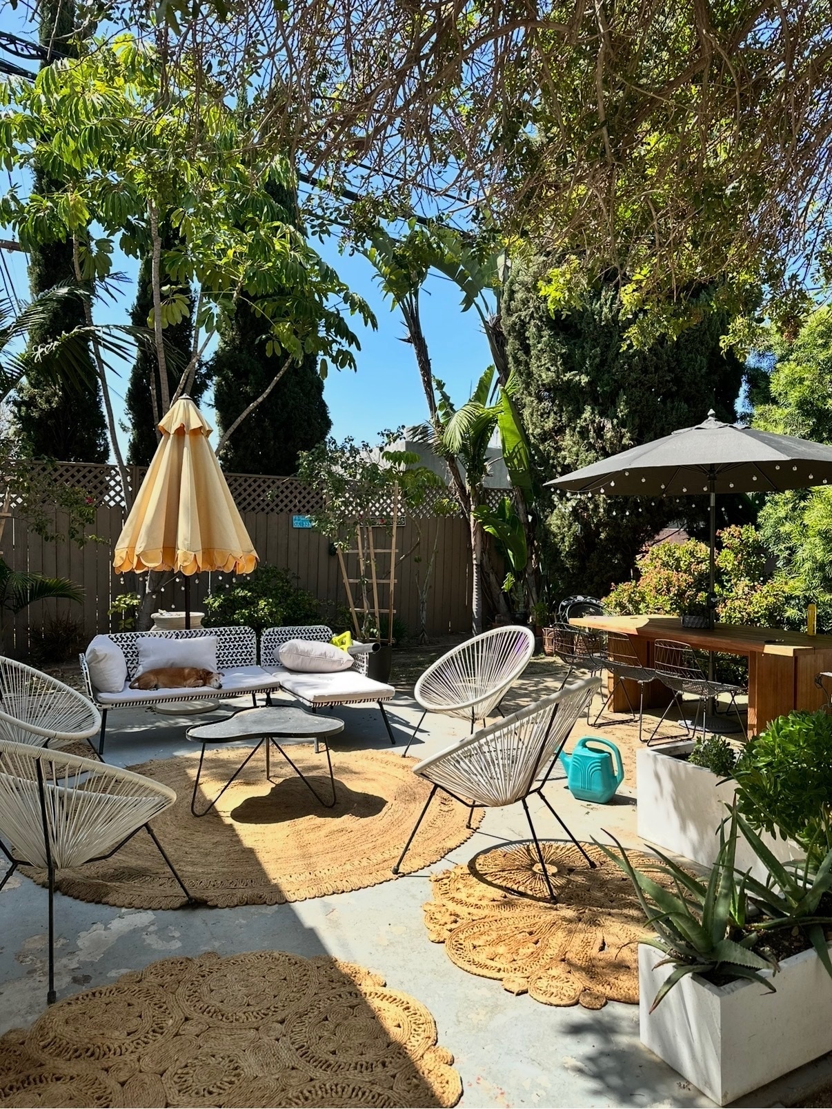 Back yard - 1213 S Ridgeley Dr