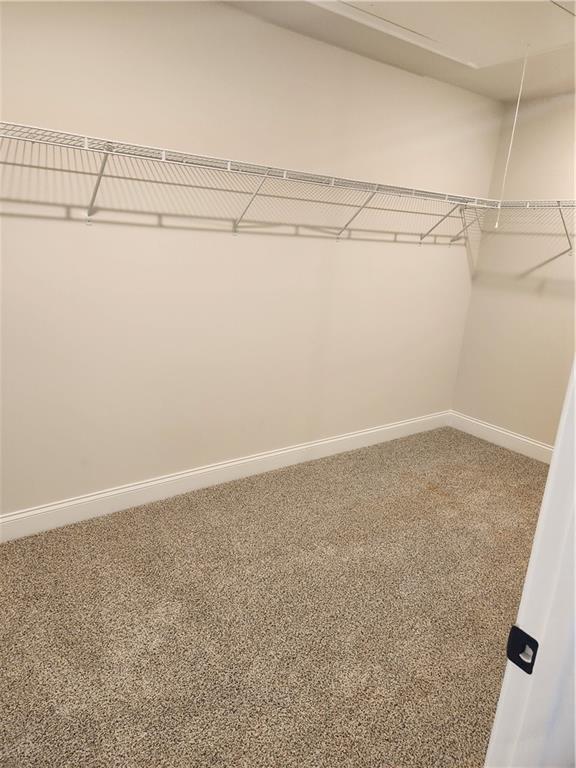 Building Photo - 1398 High Fls Ln