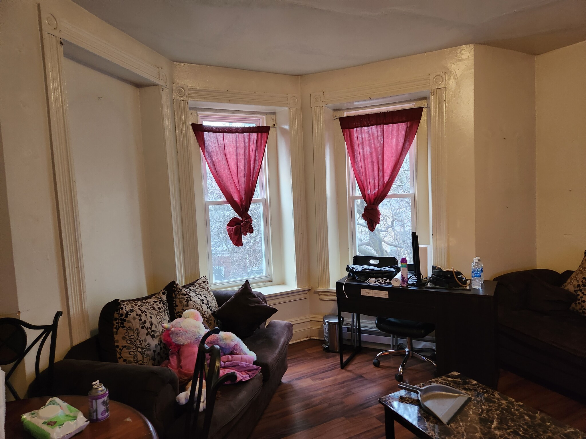 Livingroom - 226 Clymer St