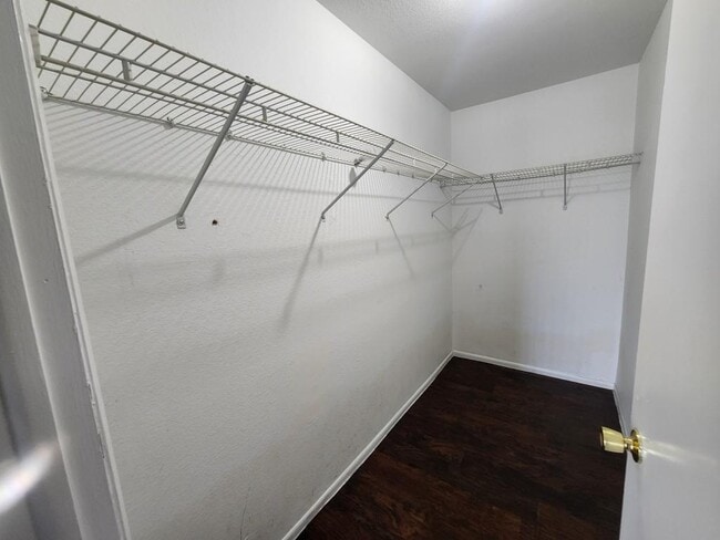 Building Photo - 3985 Avanti Cir