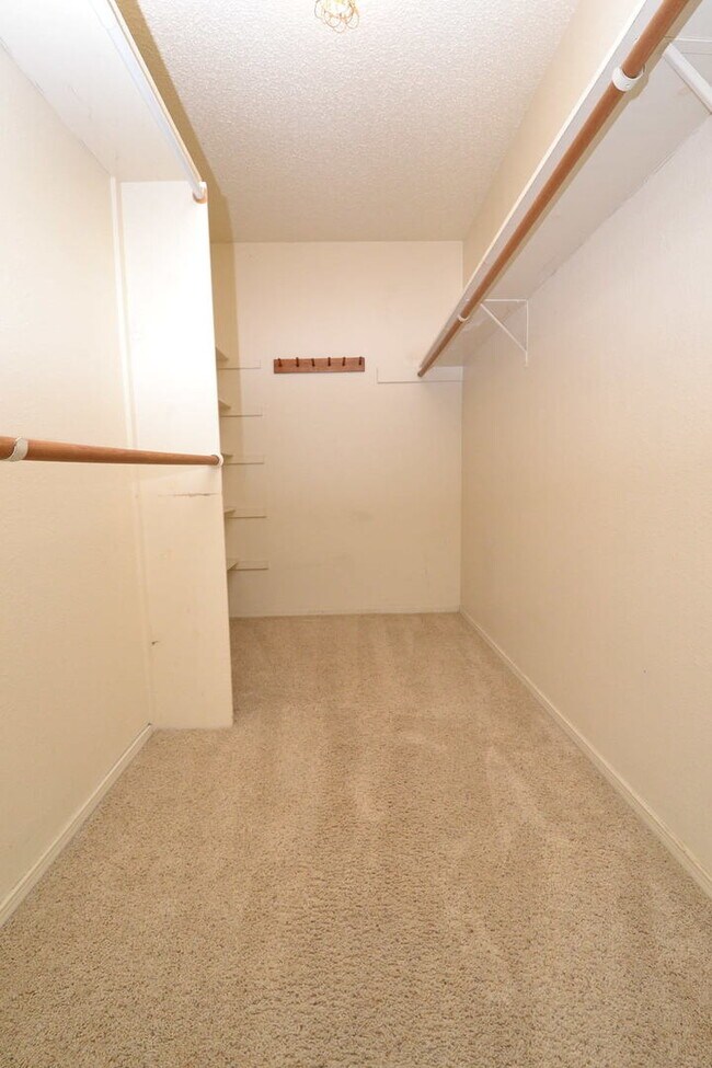 Building Photo - Large 3/2 in Great Hills w/ Treetop Views