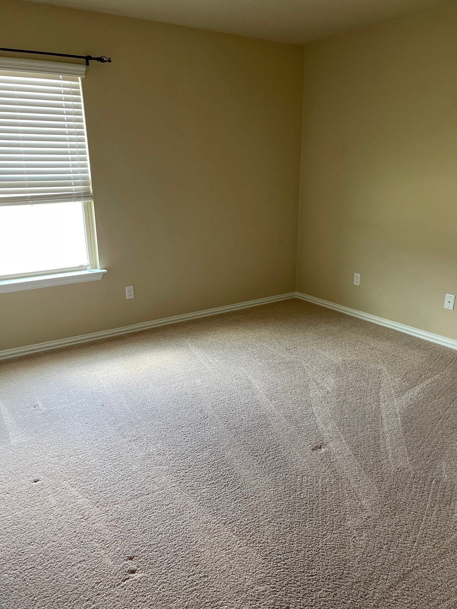 Bedroom 2 - 3701 Cotton Patch Dr