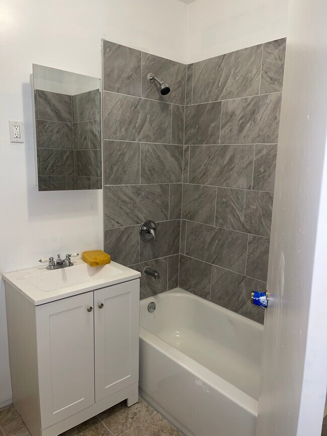 Bathroom - 245 Mount Prospect Ave