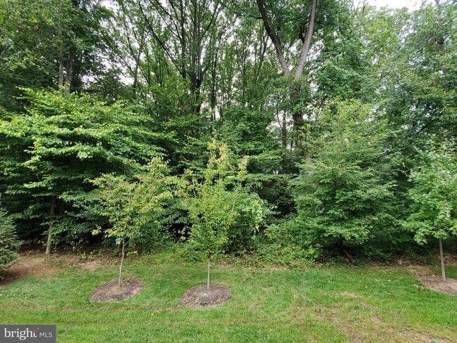 Building Photo - 3068 Wild Blue Indigo Ct