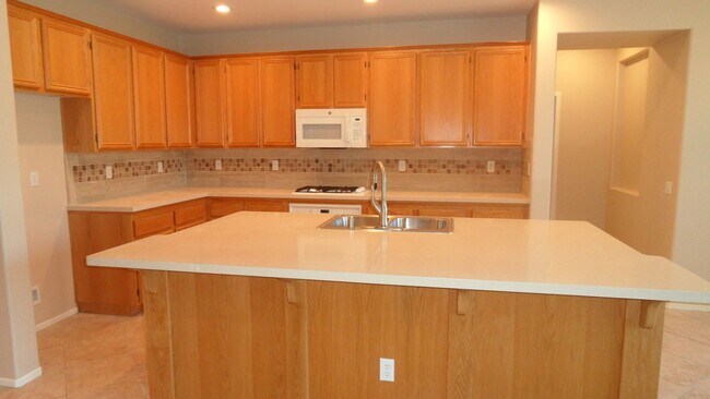 Building Photo - Single Story 4 BR 2.5 BA  Home On Cul-de-sac With 3 Car Attached Garage