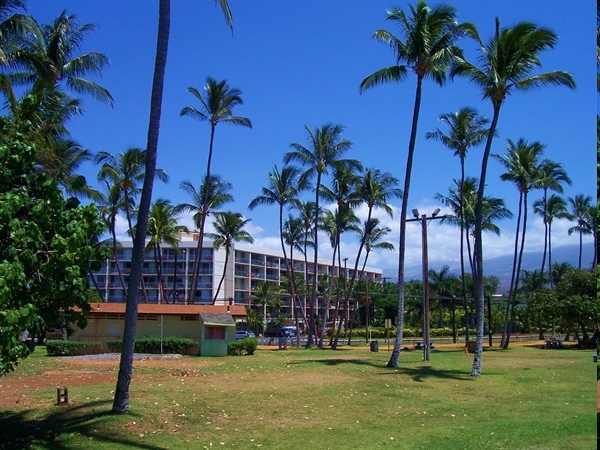 Building Photo - The Island Surf