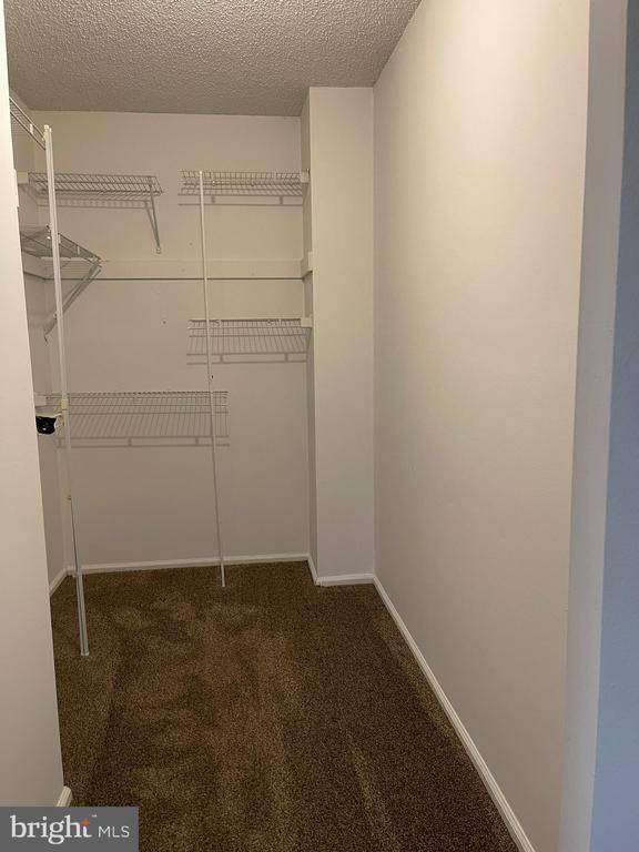 Building Photo - 17 Joyner Ct