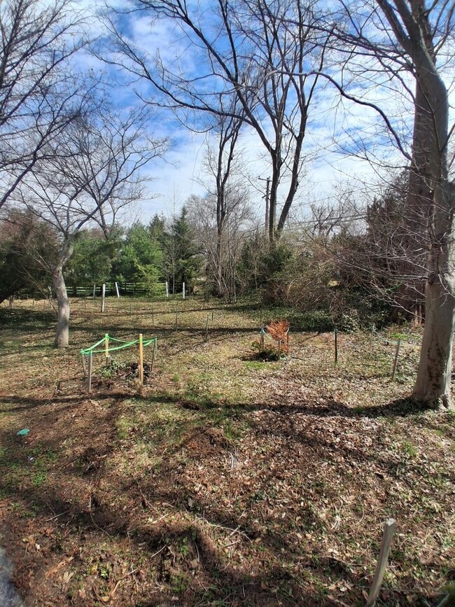 Building Photo - Quiet Responsible Household second floor bedroom for rent