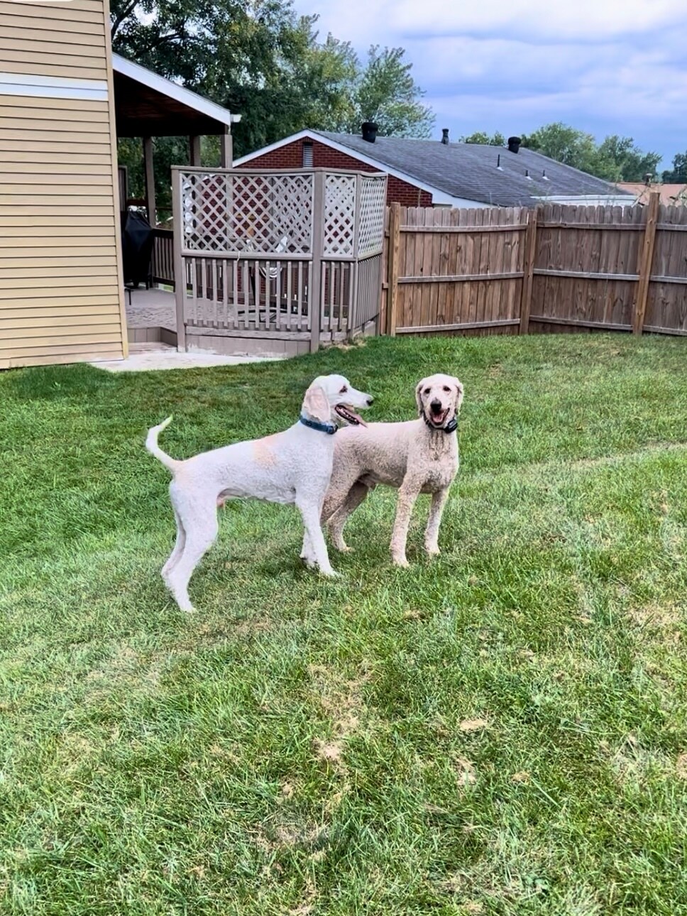 Building Photo - 8099 Nuttals Grove Rd