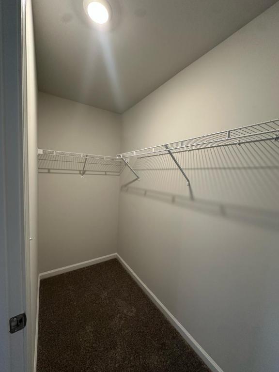 Building Photo - 3005 Honeymyrtle Ln