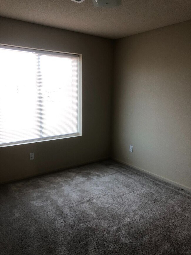 Building Photo - Beautiful Home in Saguaro!