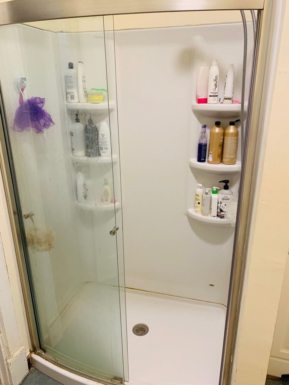 Building Photo - 1288 Commonwealth Ave