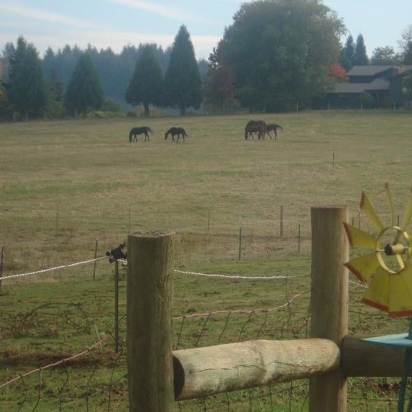 Building Photo - 16670 S Carus Rd