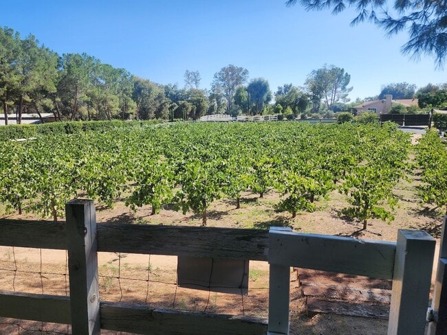 Building Photo - Beautiful Lower Level Studio apartment loc...