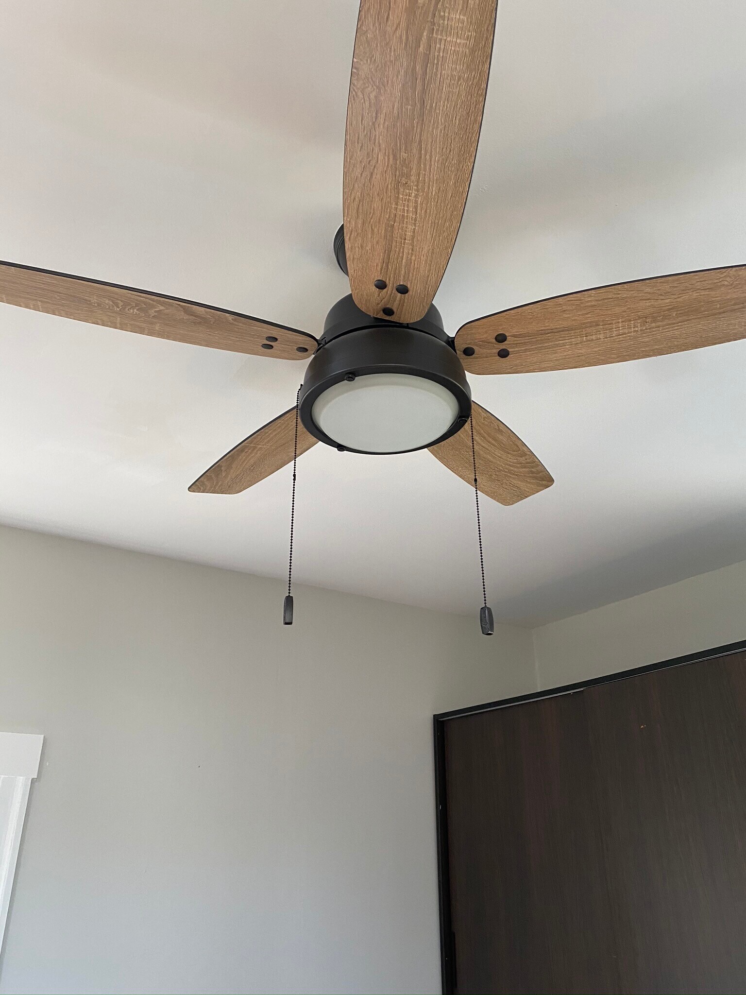 Ceiling fan - 2445 Harrington Ave