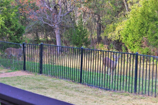 Building Photo - 106 Morning Glory Cir