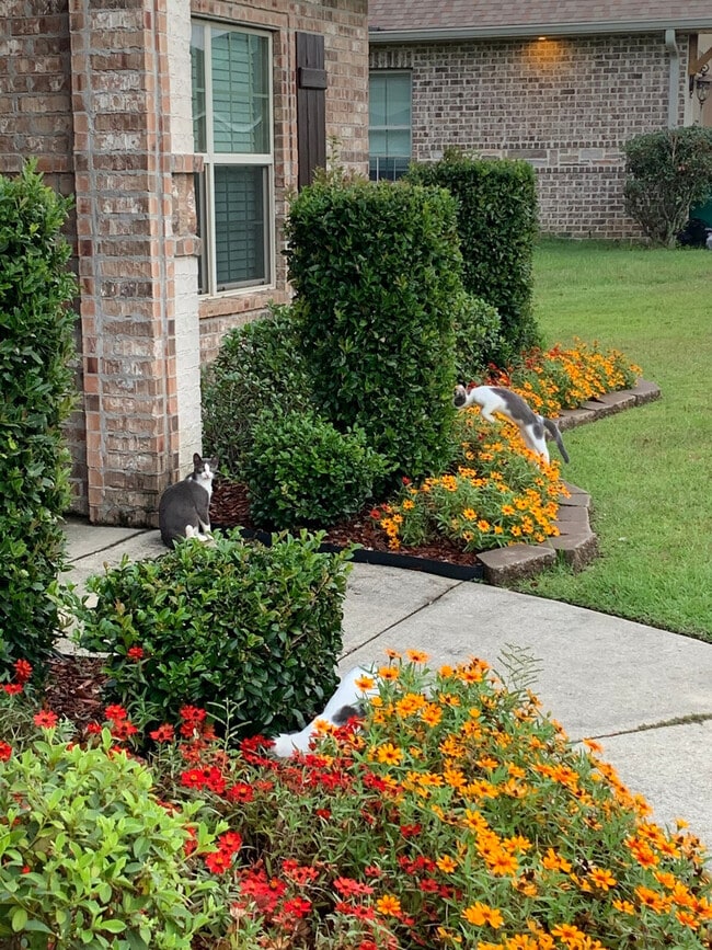 Building Photo - 15076 Audubon Lake Blvd