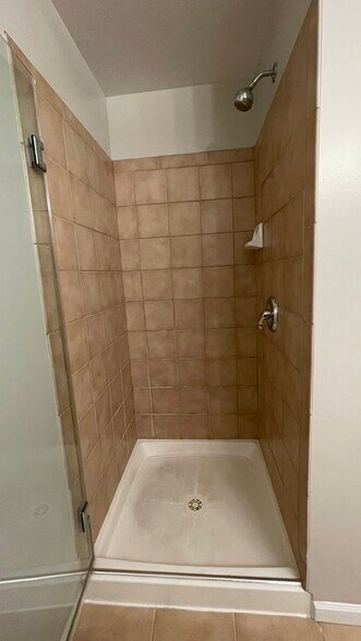 Master Bath Shower - 600 N Dearborn St
