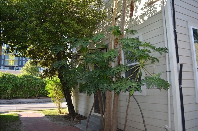 Building Photo - 2502 Saltus St