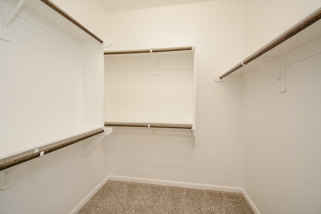 Building Photo - 24134 Leonforte Dr