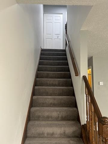 Building Photo - 5132 Daube Dr