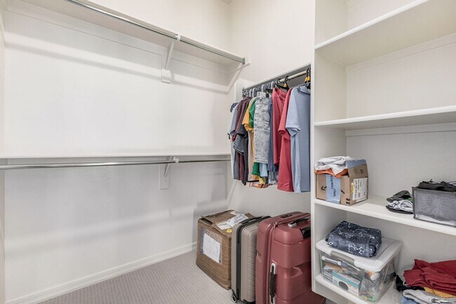 Building Photo - Gorgeous Rental Home in Chandler