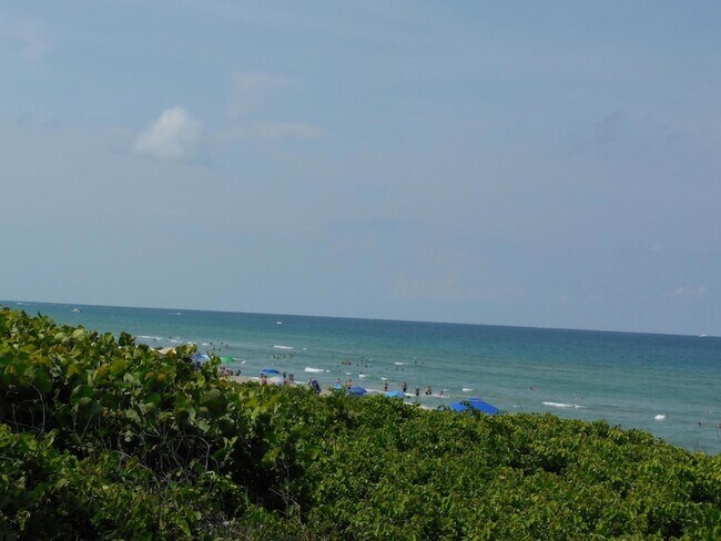 Building Photo - 800 Juno Ocean Walk