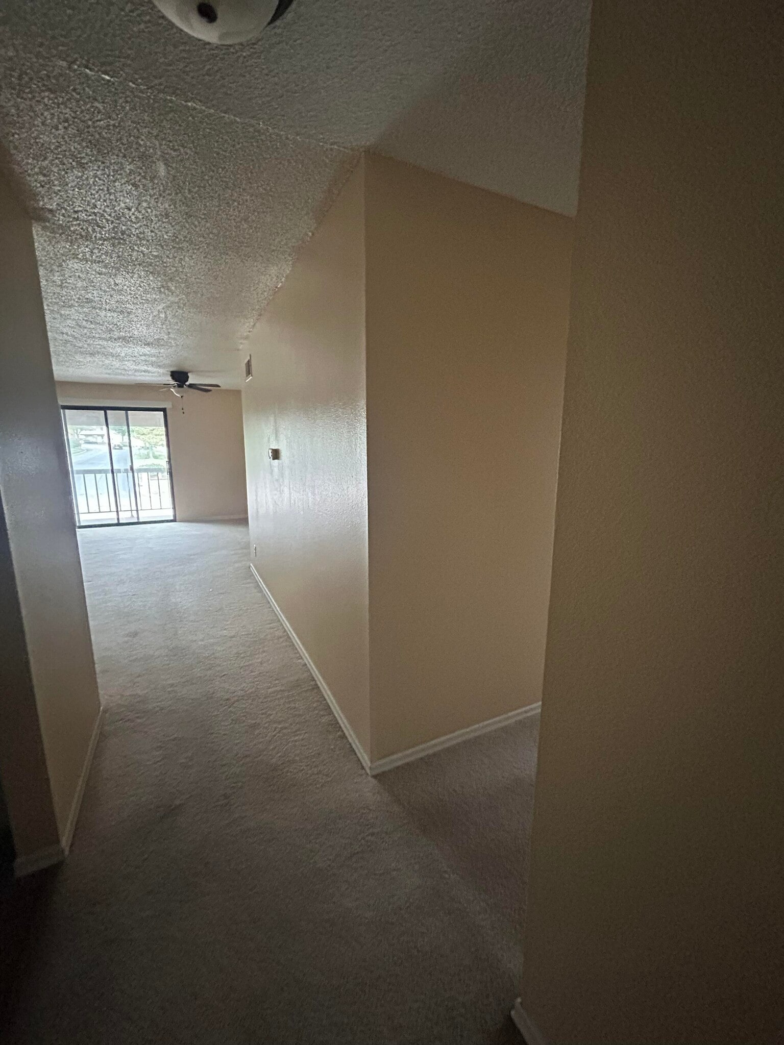 Entrance from main door - 1233 Guelbreth Ln